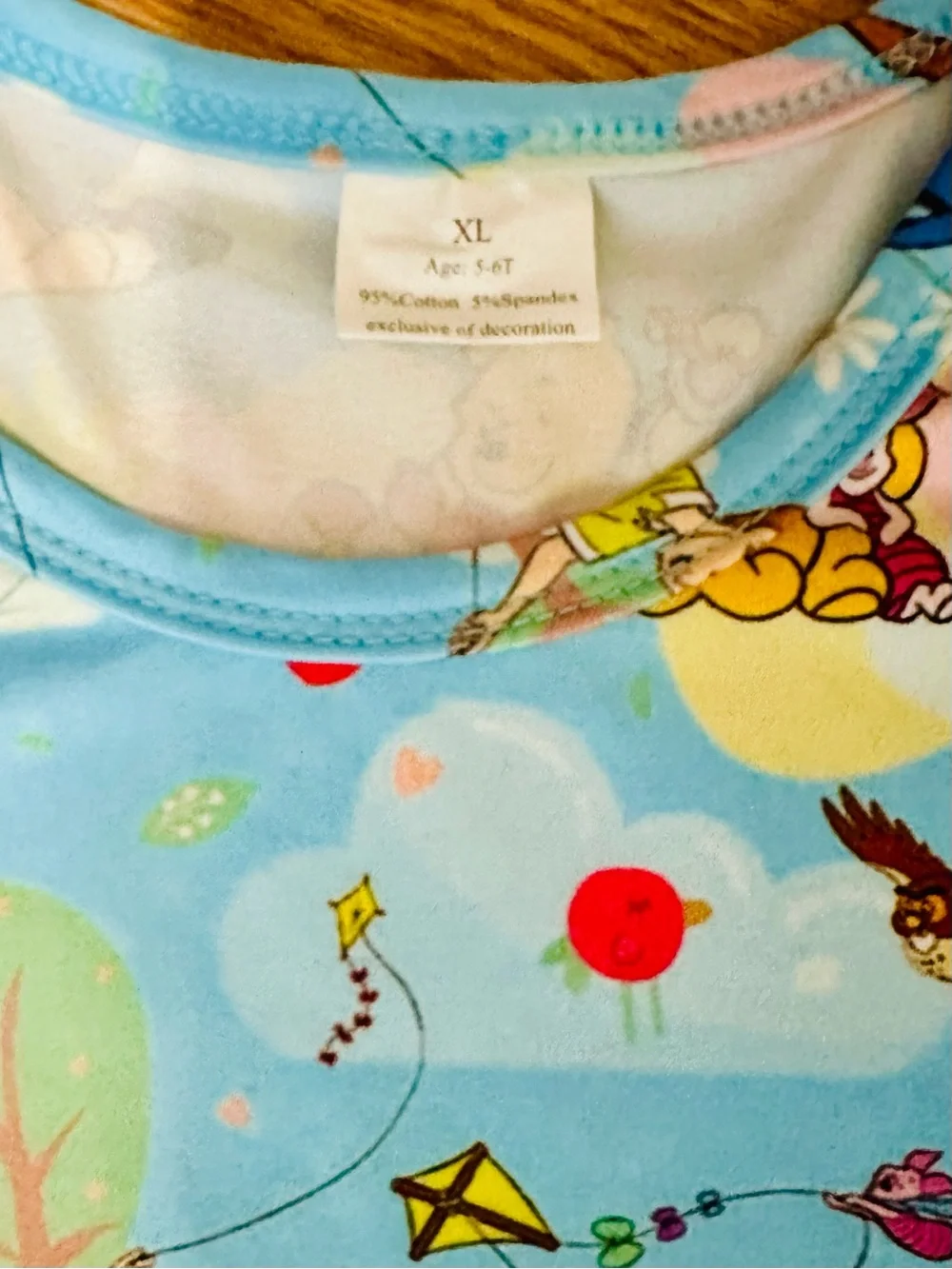 Blue Winnie the Pooh Dress